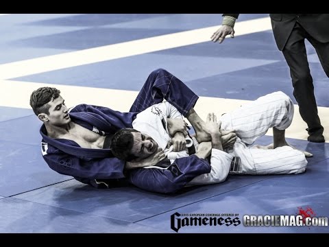 2015: European: the best images of the black belt division before the finals