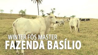 preview picture of video 'Nutrição Animal para seca (Fazenda Basílio)'