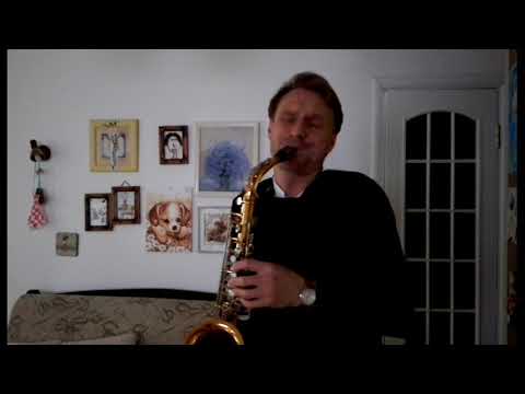 Imany - Don't be so shy (Saxophone)