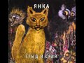 Янка Дягилева - Стаи летят 