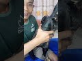 Characteristics Of A Chicken That Strikes Hard And Accurately