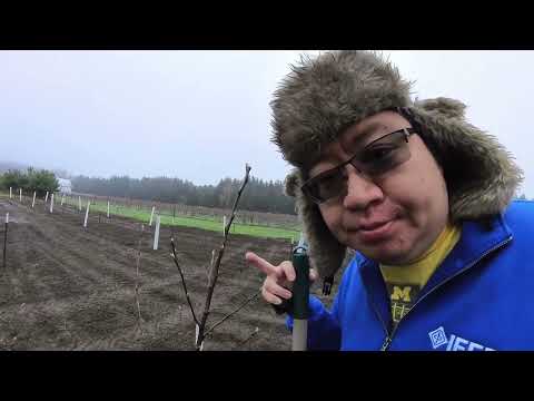 Re:Vineyard - Season 01 Episode 13 - Holes and Planting New Vines