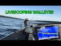 Video Thumbnail for Evening walleye with some little hammer handles