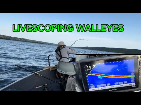 Evening walleye with some little hammer handles