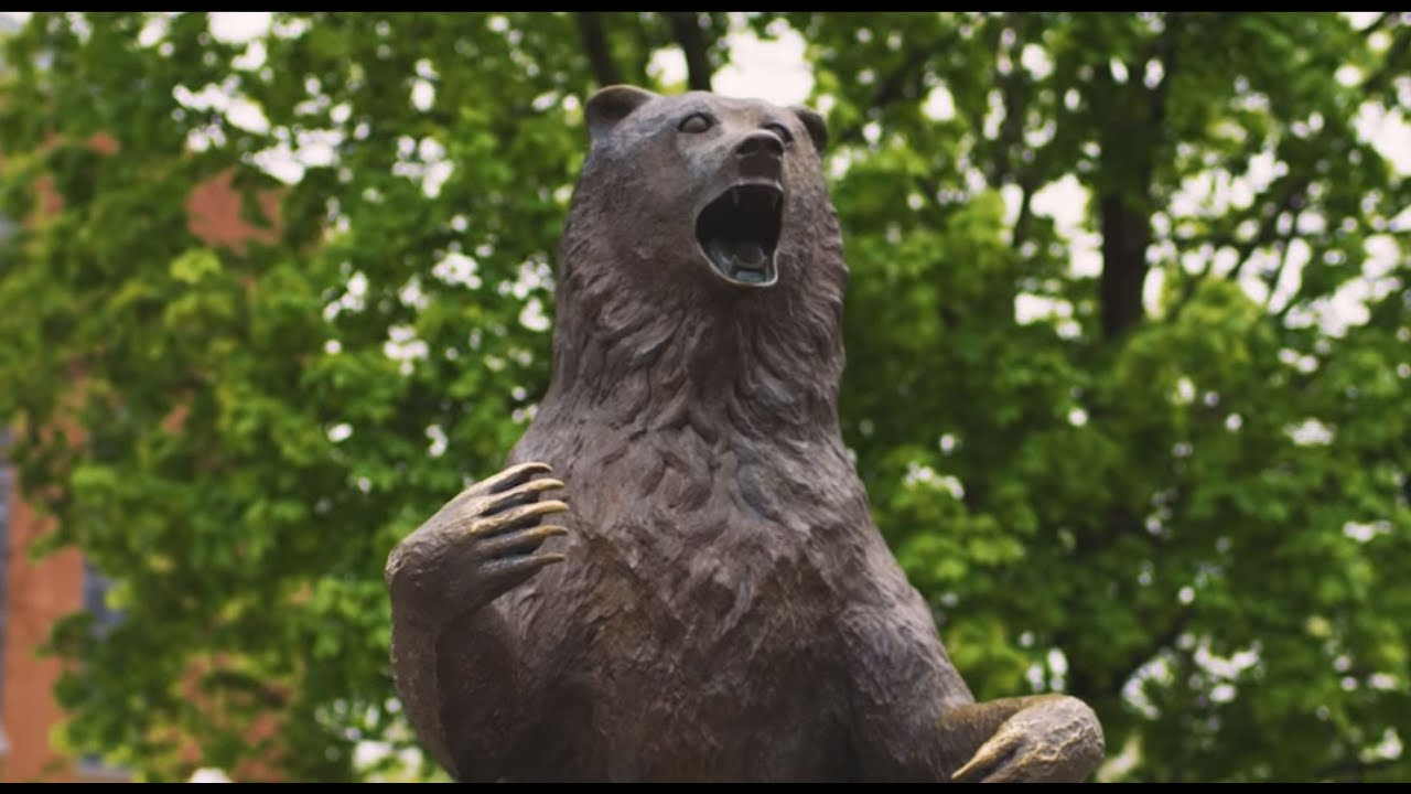 It's Good to Be Golden