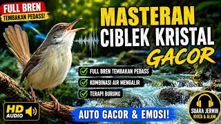 Download lagu MASTERAN CIBLEK KRISTAL Gacor Full NEMBAK Ngebren Kombinasi Air Mengalir Terapi Burung Lebih Fokus mp3 Download lagu MASTERAN CIBLEK KRISTAL Gacor Full NEMBAK Ngebren Kombinasi Air Mengalir Terapi Burung Lebih Fokus mp3