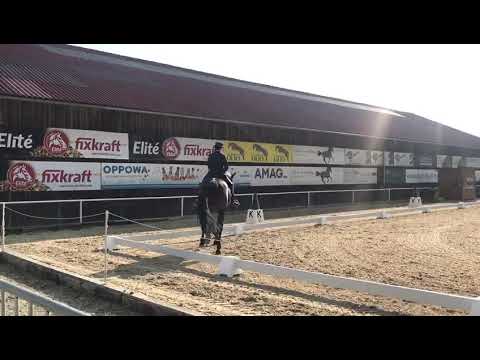 Royal Classic M Ranshofen 2019