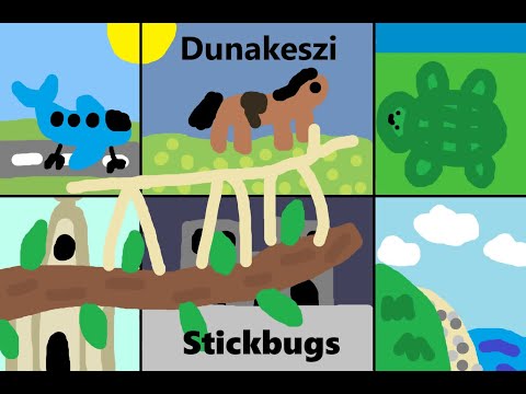 The Stickbugs - Dunakeszi