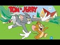 Tom Jerry Episode 1 Video Baby Babyshark Youtube Tomandjerry Anime Cartoons Shorts Comedy