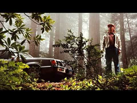 Ohikulkumatkalla - J. Karjalainen