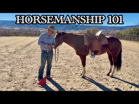 Horsemanship 101 | Building The Alphabet With Your Horse