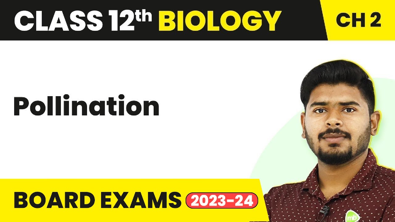 Pollination - Sexual Reproduction in Flowering Plants | Class 12 Biology (2022-23)
