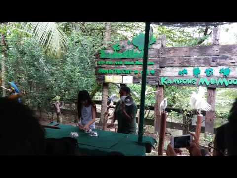 Odelia at farm in the city