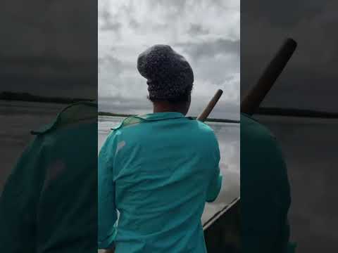 RedeMaris - Ciência em campo: pesquisa avança no Baixo Sul da Bahia