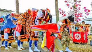 高岡 内島獅子舞 宮参り | 富山県高岡市 Shishimai: Traditional Japanese Lion Dance