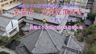 【頂法寺六角堂】聖徳太子創建の生け花発祥の地。境内にはたくさんの鳩と白鳥がいます。#お寺 #風景 #京都 #癒し #歴史