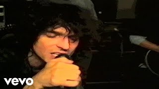 Peace Love & Pitbulls - Be My TV