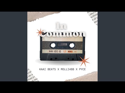 In Common (feat. Molli488 & Pyce) (AmapianoRemix)