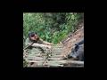 The Girl Lives Alone In The Rainforest Survival Survivalshelter Outdoors Survivalskills Camping