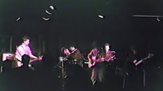 The Feelies - Original Love