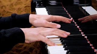 Download lagu The Merry Widow Waltz | Piano mp3 Download lagu The Merry Widow Waltz | Piano mp3