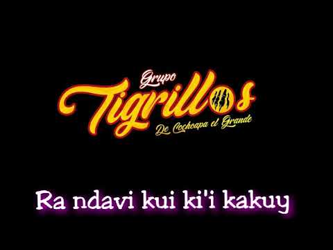 grupo tigrillo de cochoapa.Ra ndavi ku'i