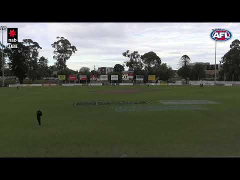 NAB LEAGUE 2019: Round 13 - Geelong v Oakleigh (Full Game)