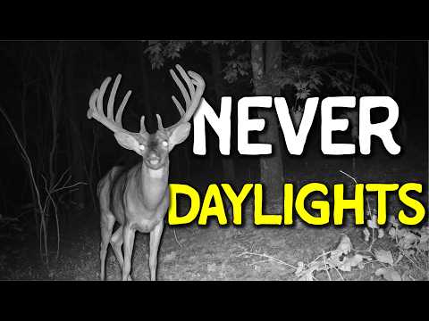 Hunting a Ghost Buck on Alabama Public Land