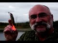 Using Balista lures on big Murray Cod Using Balista lures on big Murray Cod