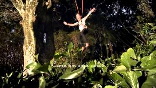 Quase sem querer - Maria Gadu canta Legiao Urbana - Renato Russo