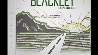 Thief Down Down [DEMO - SINGLE] - The Blackley Experience