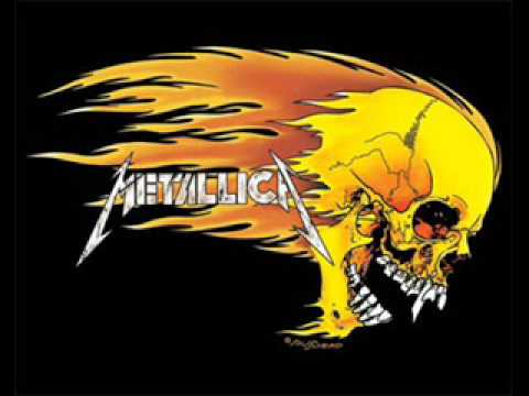 Metallica Battery cover