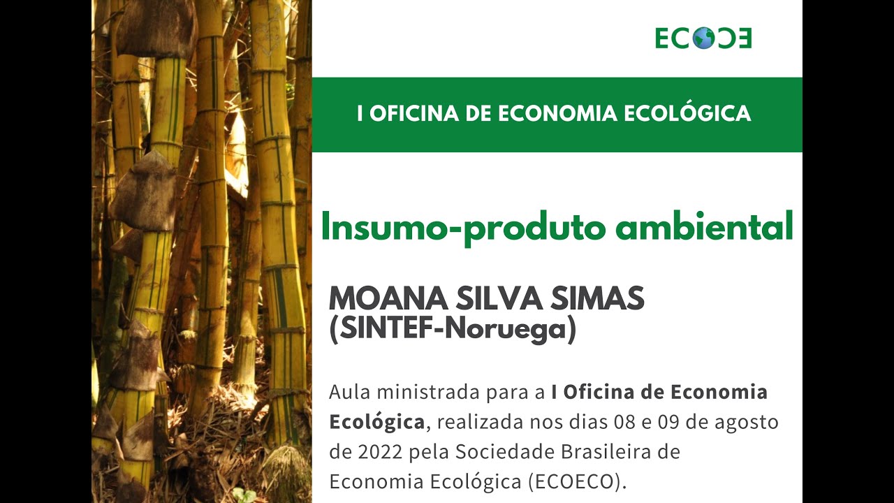 Aula sobre insumo-produto ambiental - I Oficina de Economia Ecológica