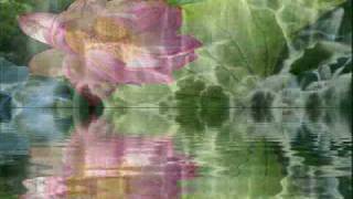 Andrea Bocelli - Il Mare Calmo Della Sera - Reflejos En El Agua