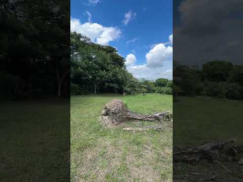 Se vende lote en Santa Elena, El Cerrito