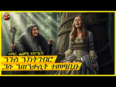 Teraki tube l ተራኺ and Cineverse l ሲኒቨርስ