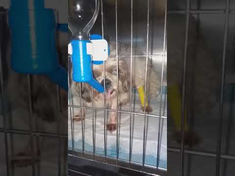 More and more water Brucey boy!