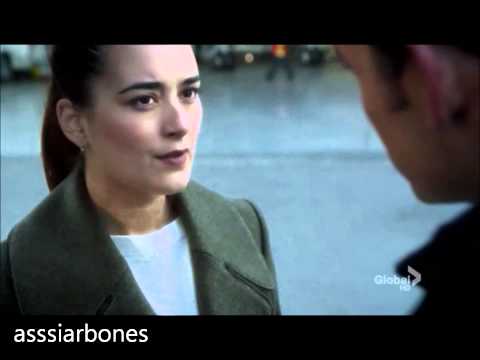 NCIS || Ziva punched CI-Ray