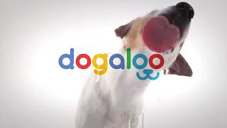 Dogaloo™ Australia | Waterproof Dog Collars and Leads | dogaloo.com.au