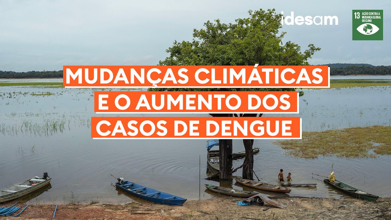 Mudanças Climáticas e o aumento dos casos de #dengue  | Em Clima de Amazônia #7