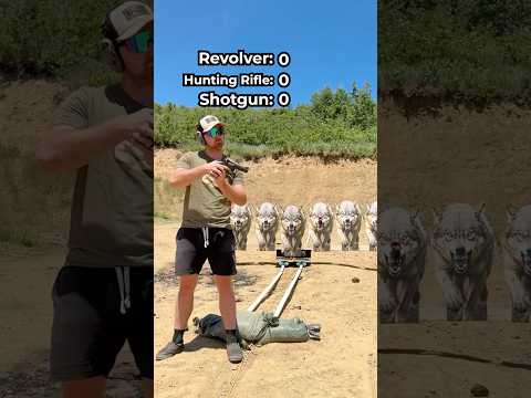 We tested the best gun for wolf defense #hunting