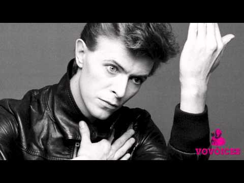 Vovoices // David Bowie - Starman (acapella)