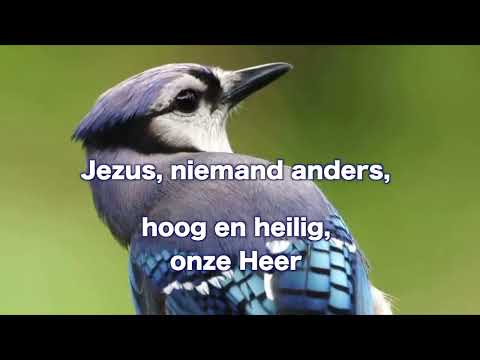 OPwekking 819 Wie deed de eerste zon opgaan