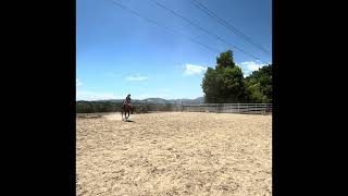 Video 2
