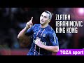 Zlatan Ibrahimovic - Top 5 Free Kicks - Ligue 1 _ PSG ( 720 X 720 )