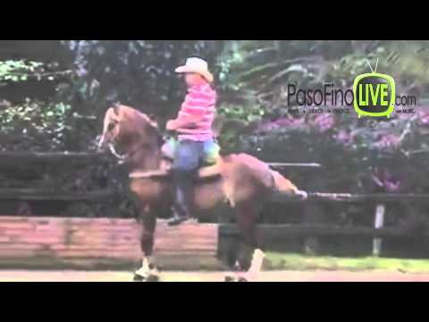 BELLA MILLONARIA DE LOS GIRASOLES