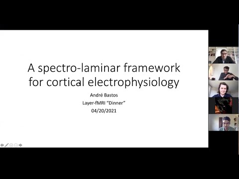 André Bastos: Canonical cortical circuits and dynamics for cognition
