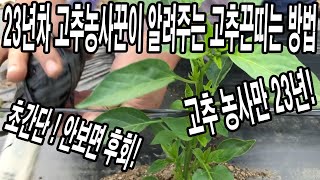 고추끈을 이렇게 맨다고? 진짜 생각도 못한 고추끈 매는 방법! TYING A STRING OF CHILI &…
