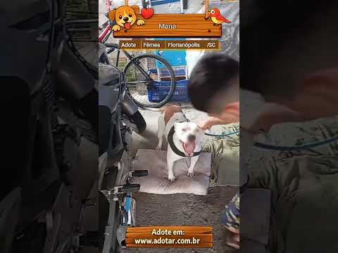 Vídeo de Mana