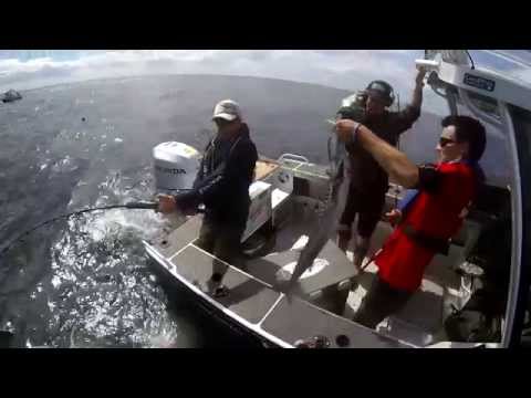 Fishing and Adventure Season 2 Episode 9 - Wharekawa Part #1